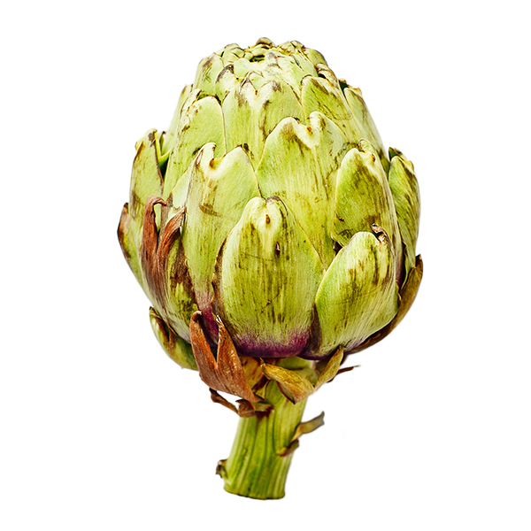 Can Dogs Eat Artichokes? Dr. Wolfe Shares Her Feeding Tips